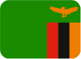 Tanzania Flag