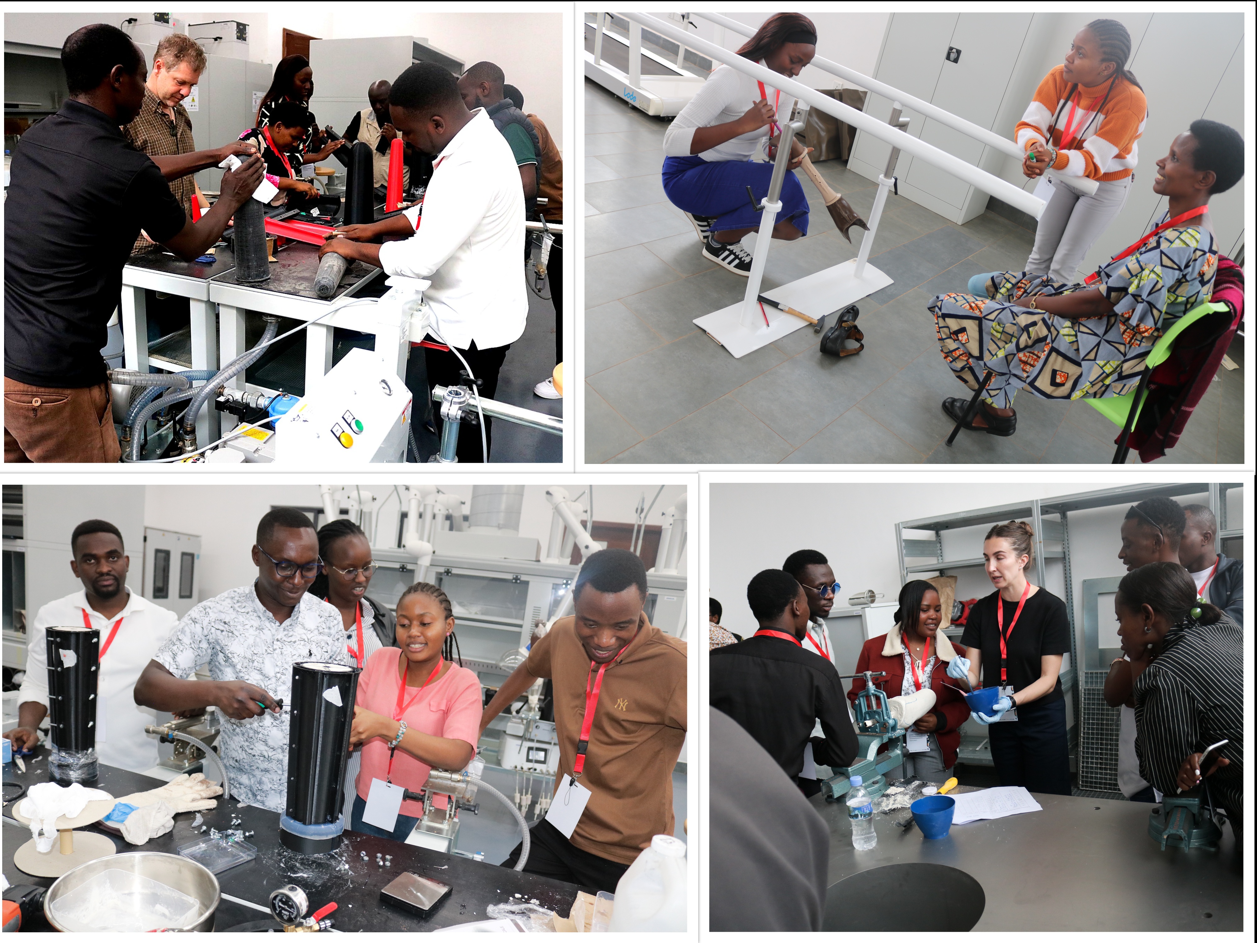 Rehabilitation & Mobility