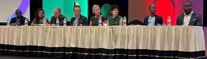 Moderated round table: experts from DST-HIRWA, DS-I Africa Coordinating Centre, WUSTL, and UZIMA-DS programs